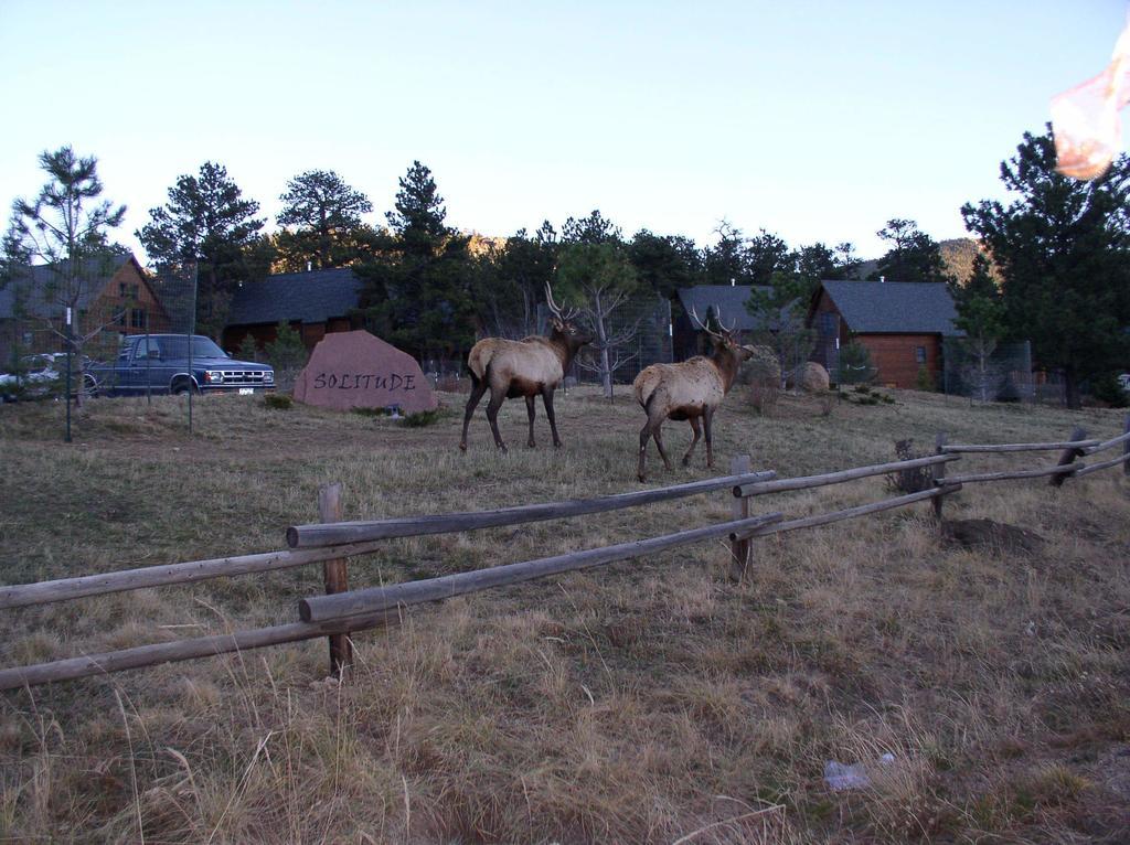 Vila Solitude Cabins Estes Park Exteriér fotografie