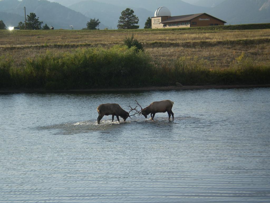 Vila Solitude Cabins Estes Park Exteriér fotografie